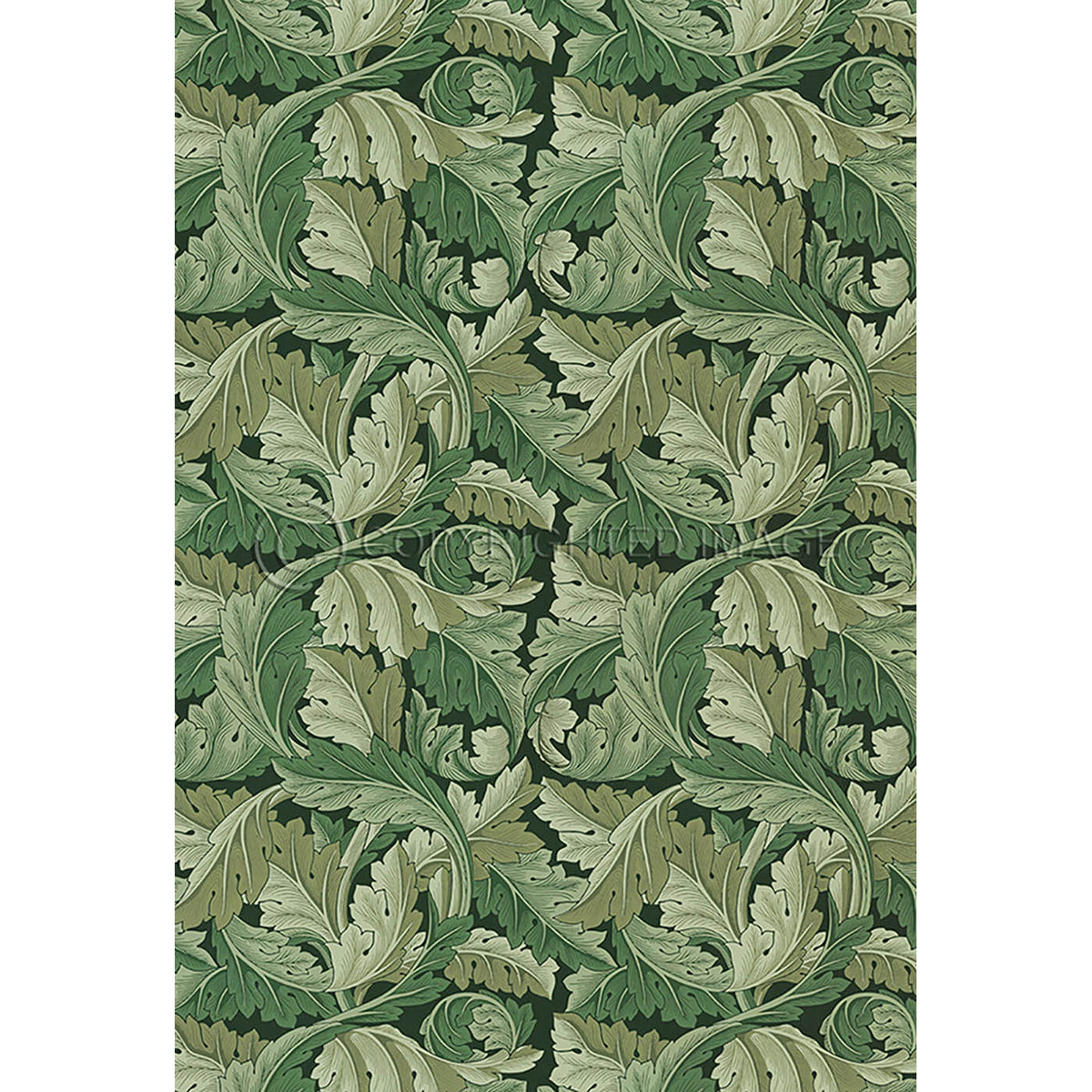 Acanthus Sage Green  38x56