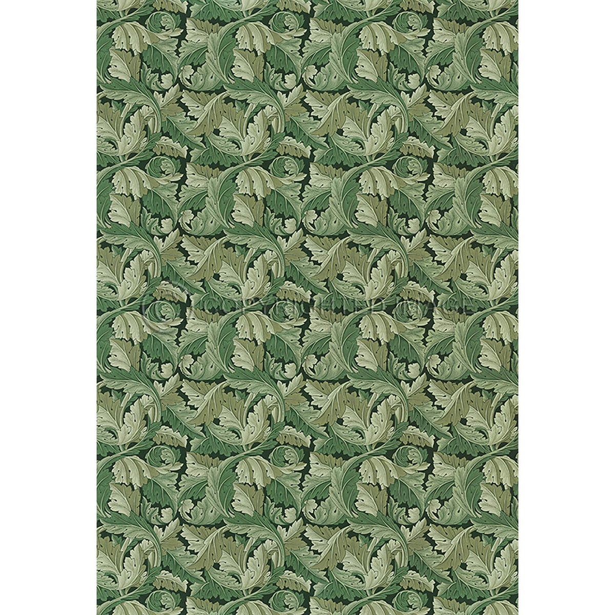 Acanthus Sage Green  70x102