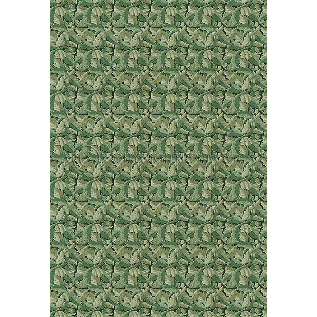 Acanthus Sage Green  120x175
