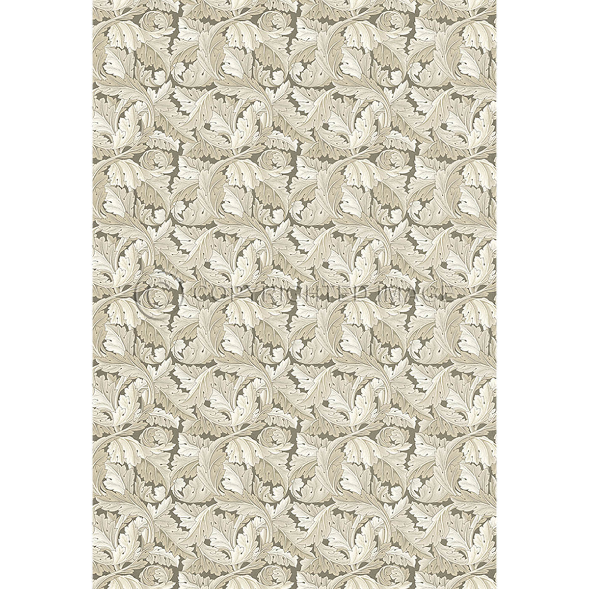 Acanthus Stone 70x102