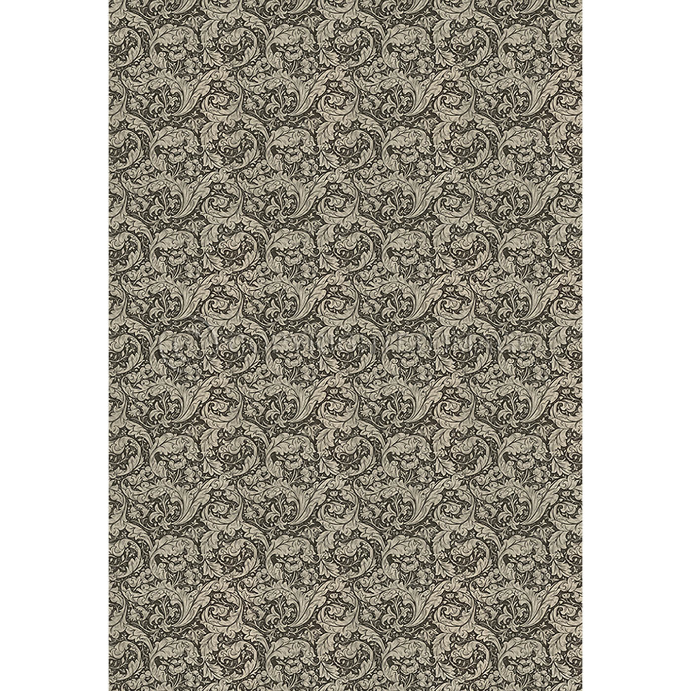 Bachelors Button  Black and Linen 120x120