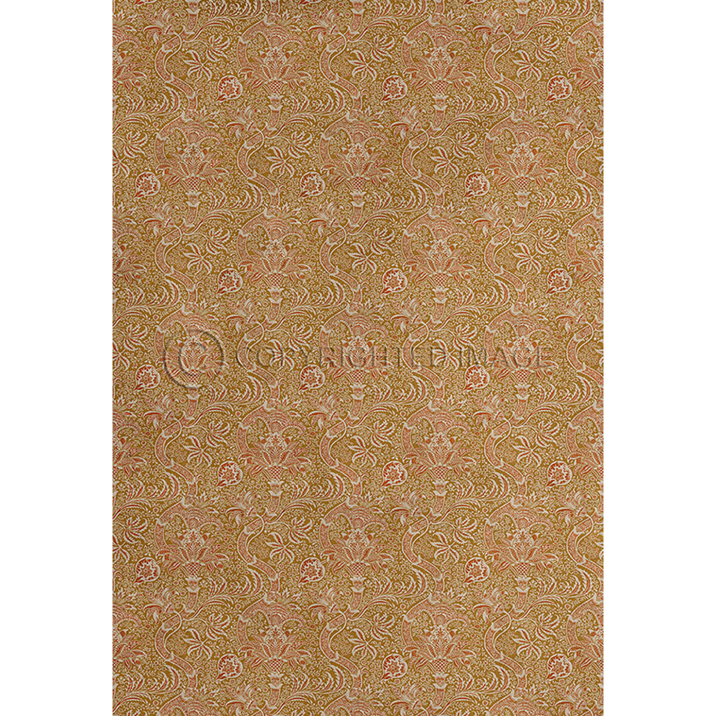Indian Spice 120x120