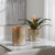 Tangelo Beige Orange Vases, S/2