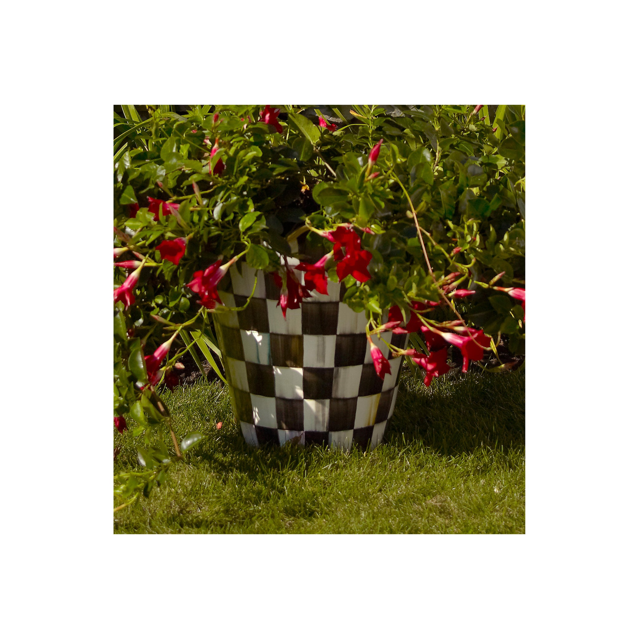 MacKenzie-Childs Courtly Check Extra Large Garden Pot