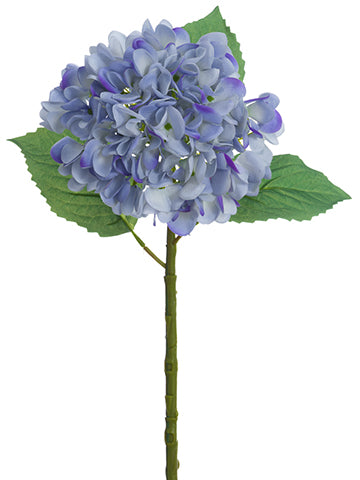 Hydrangea Blue