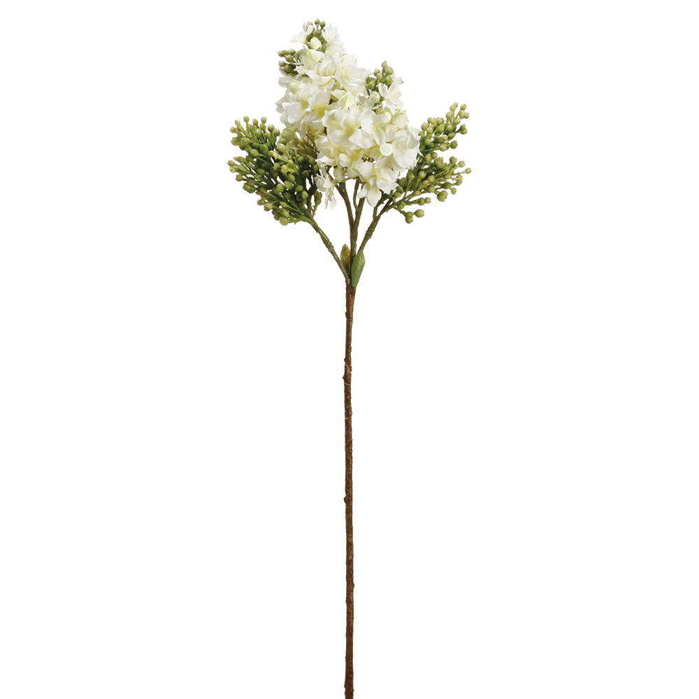Lilac Stem White