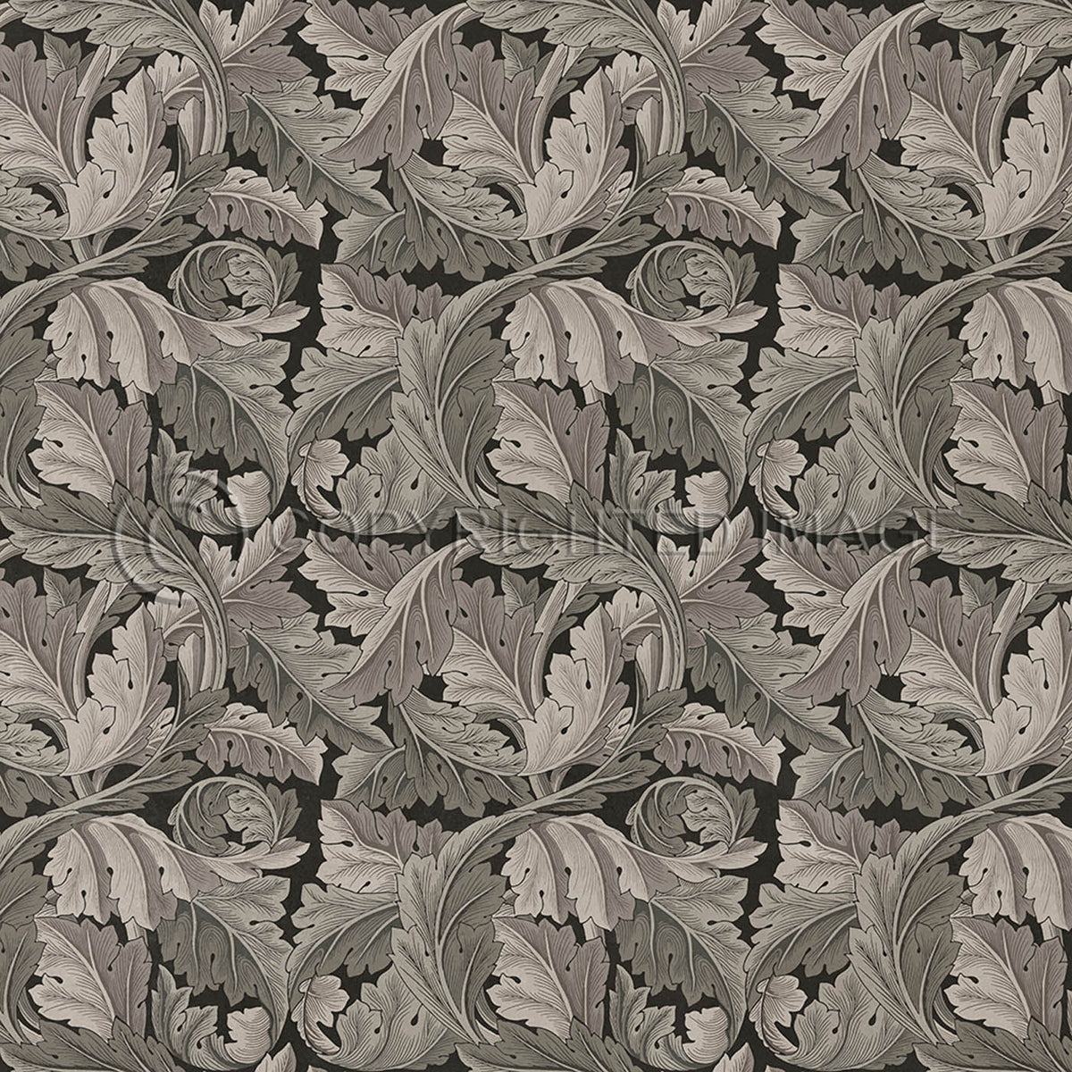 Acanthus Charcoal 48x48