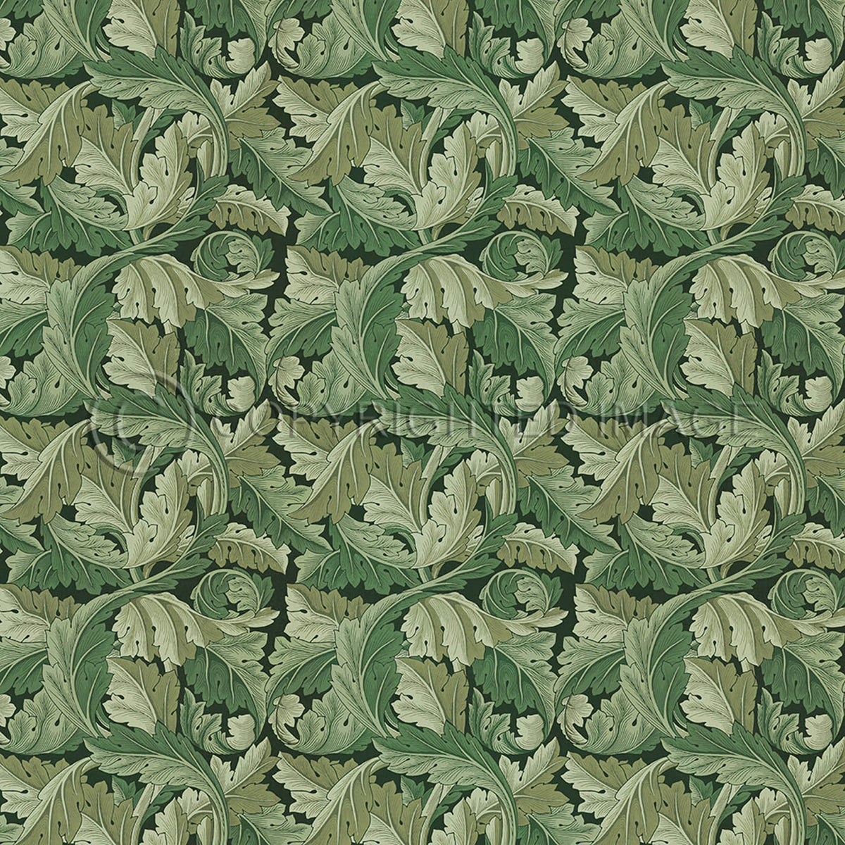 Acanthus Sage Green  60x60