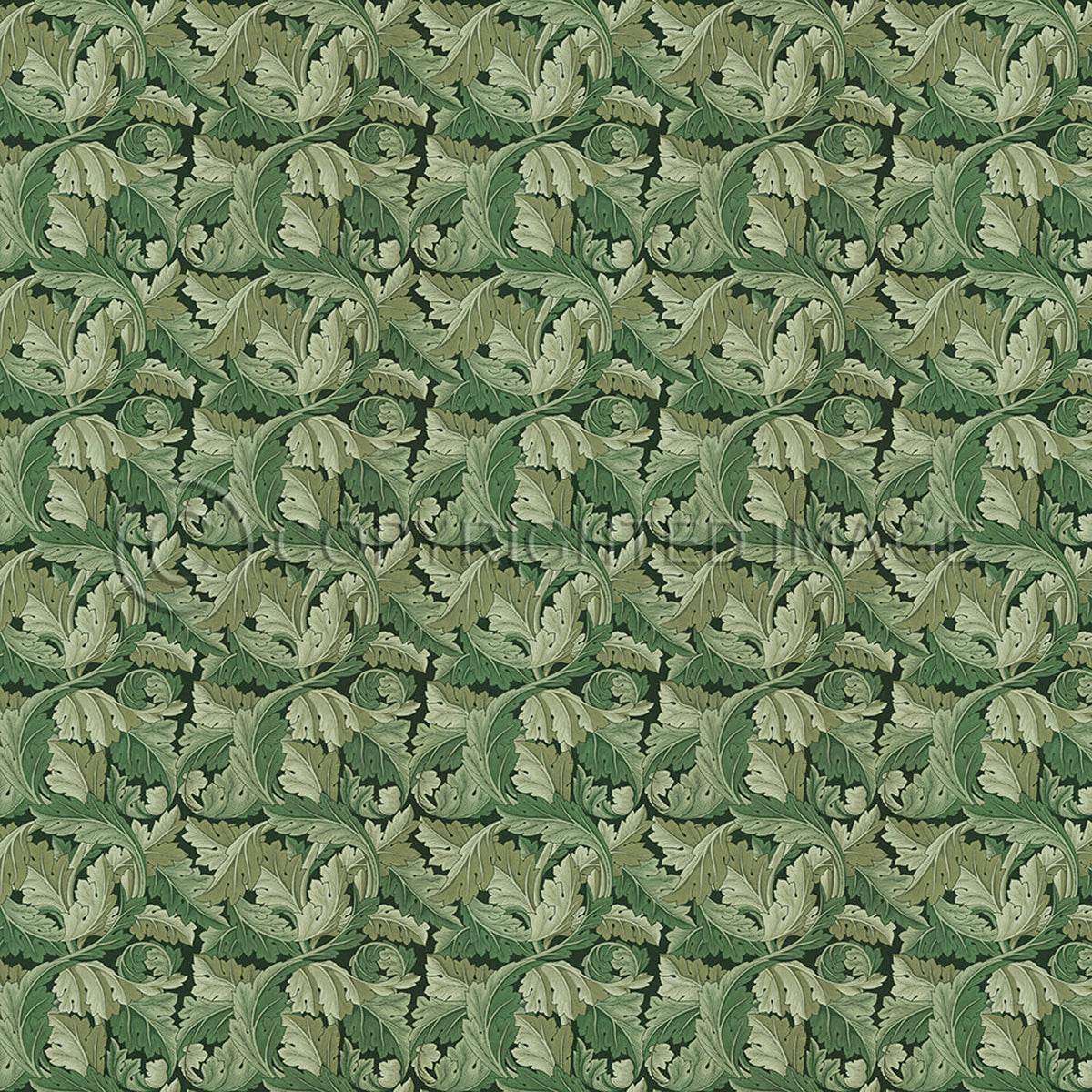 Acanthus Sage Green  96x96