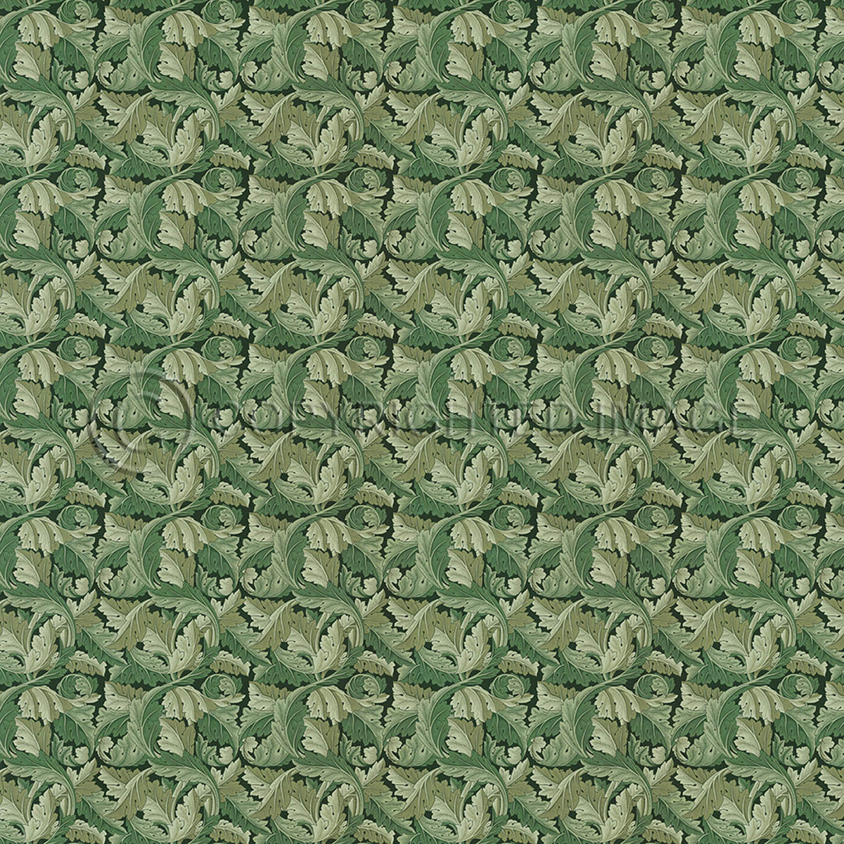 Acanthus Sage Green  120x120