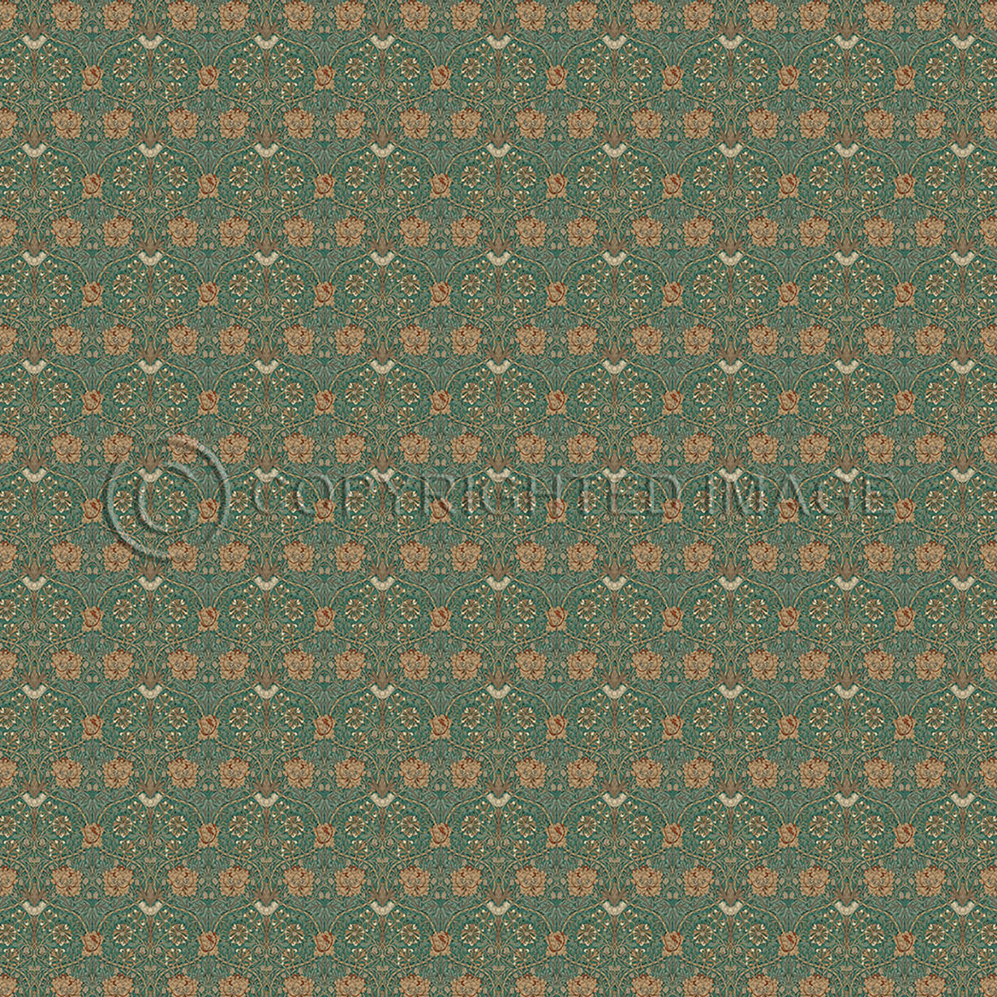 Honeysuckle and Tulip Privet 120x120
