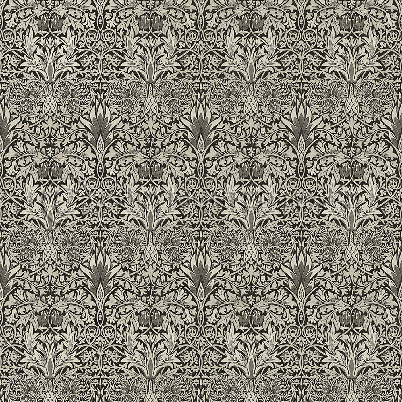 Snakeshead Black and Parchment
