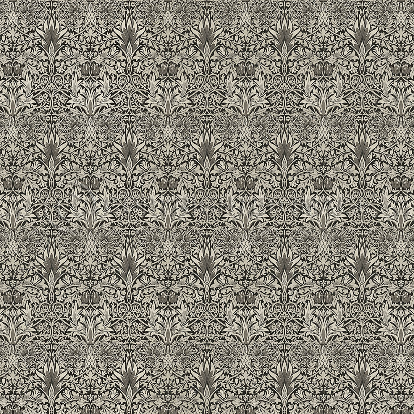 Snakeshead Black and Parchment - Thumbnail 2