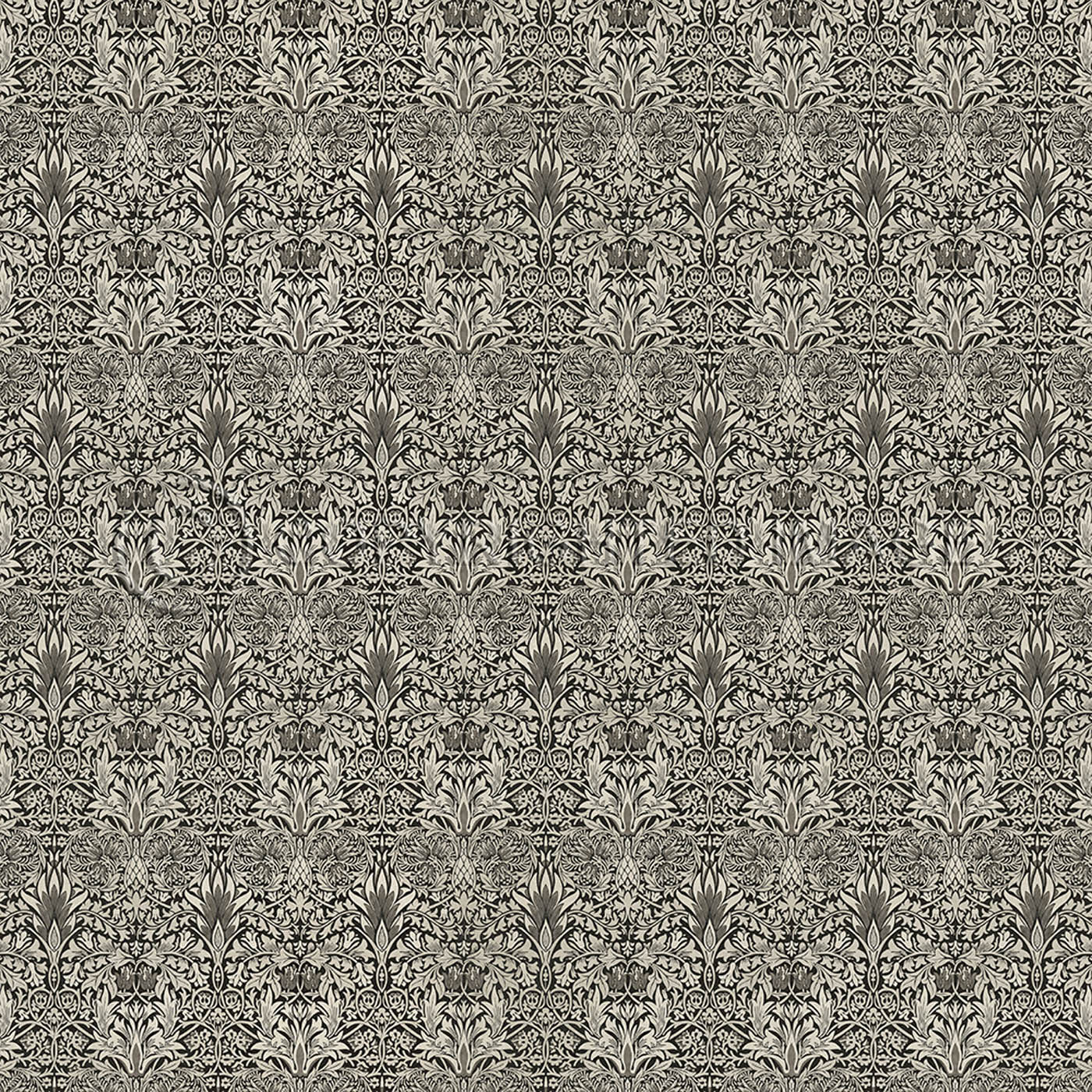 Snakeshead Black and Parchment - Thumbnail 3