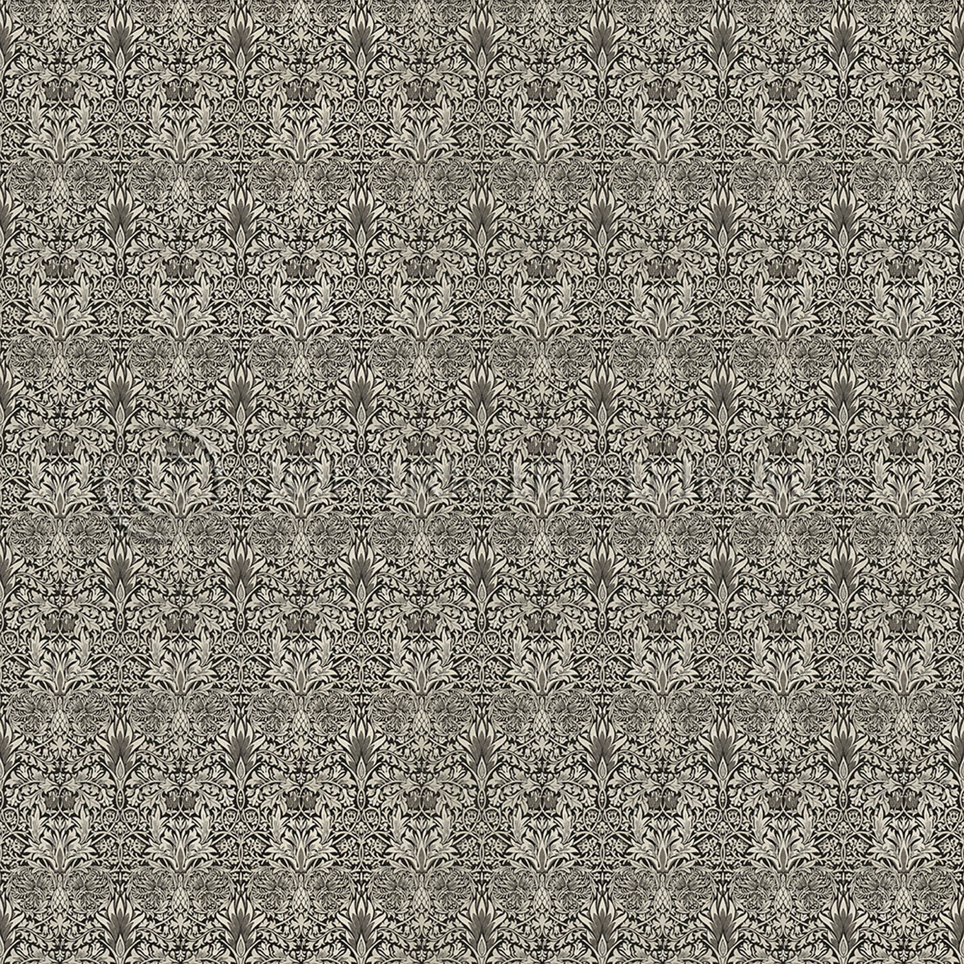 Snakeshead Black and Parchment - Thumbnail 5