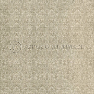 Snakeshead Sandstone 120x120