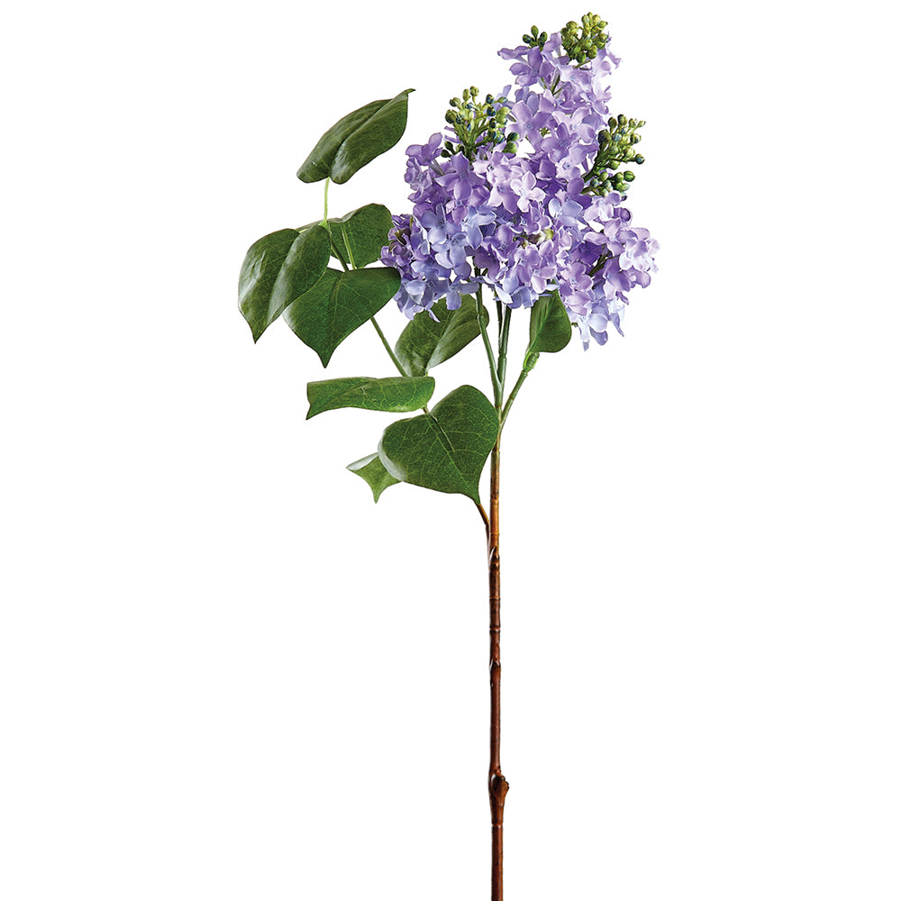 Lilac Stem Lavender