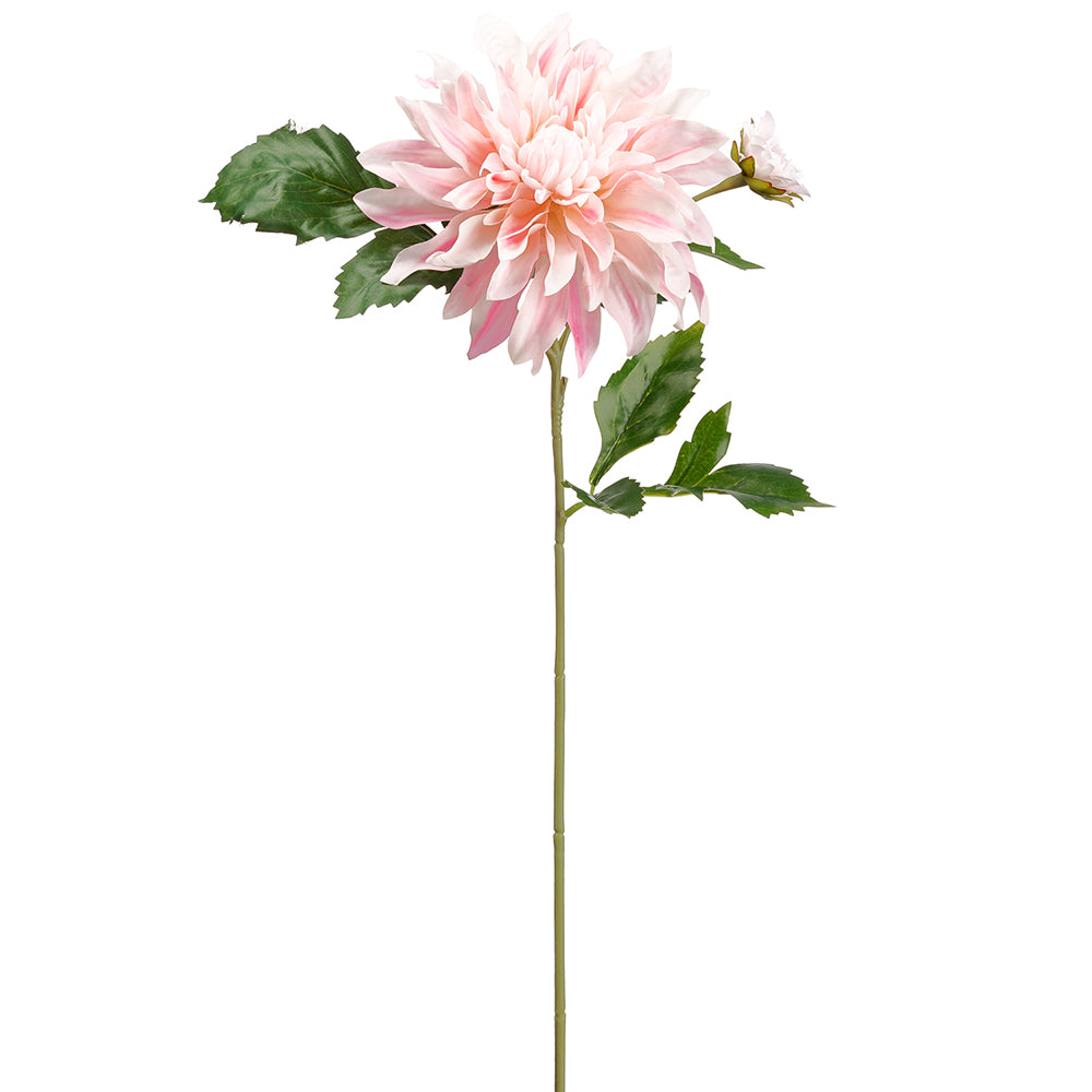 Dahlia Spray