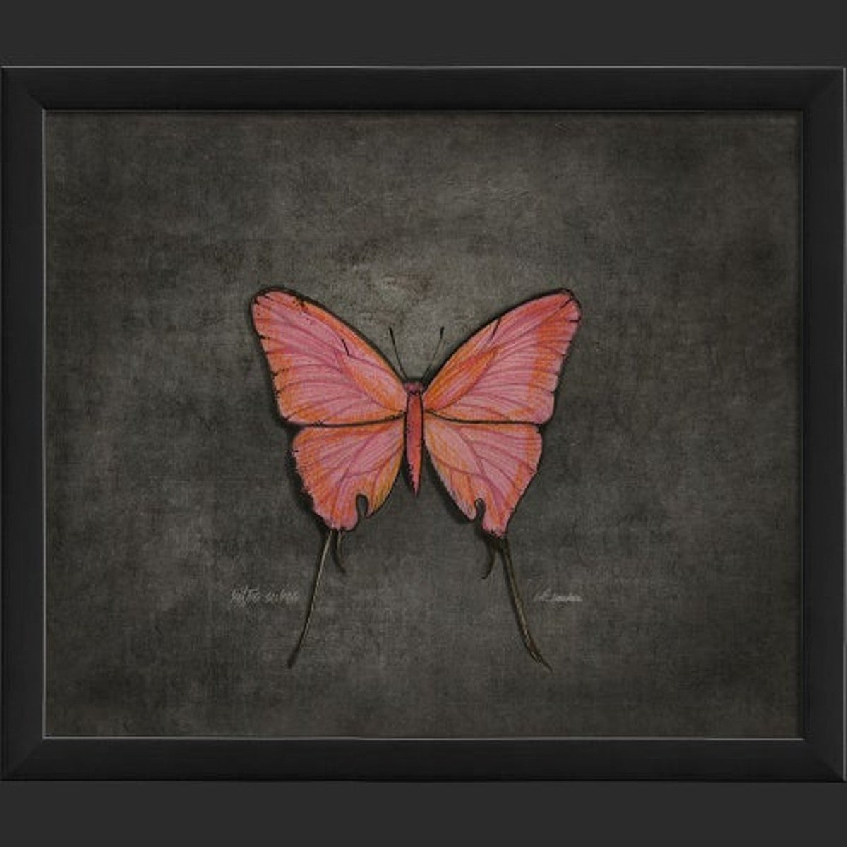 Framed Butterfly Print - Rita Aurea
