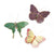 Butterfly Trio - Field