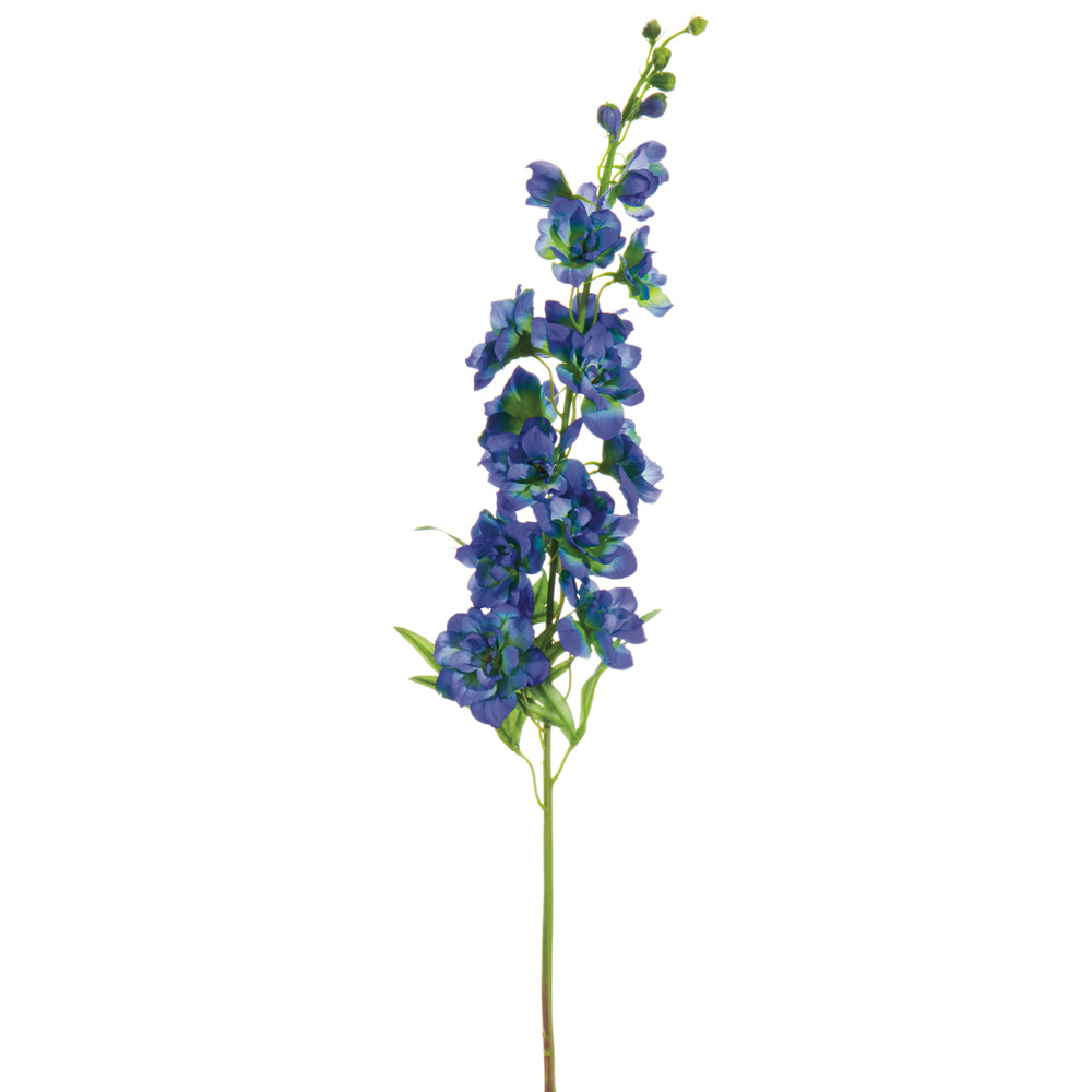 Delphinium Stem