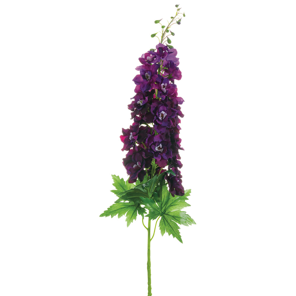 Delphinium Stem