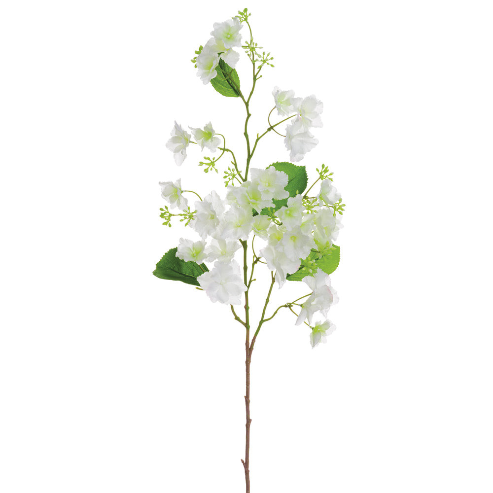 Hydrangea Stem