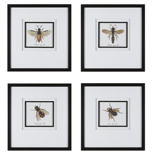 Anthophila Framed Prints, S/4