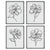 Bloom Black White Framed Prints, S/4