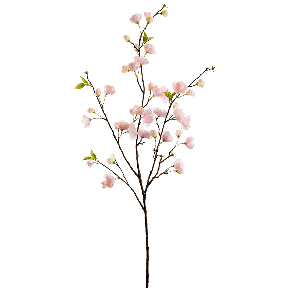 Cherry Blossom Stem