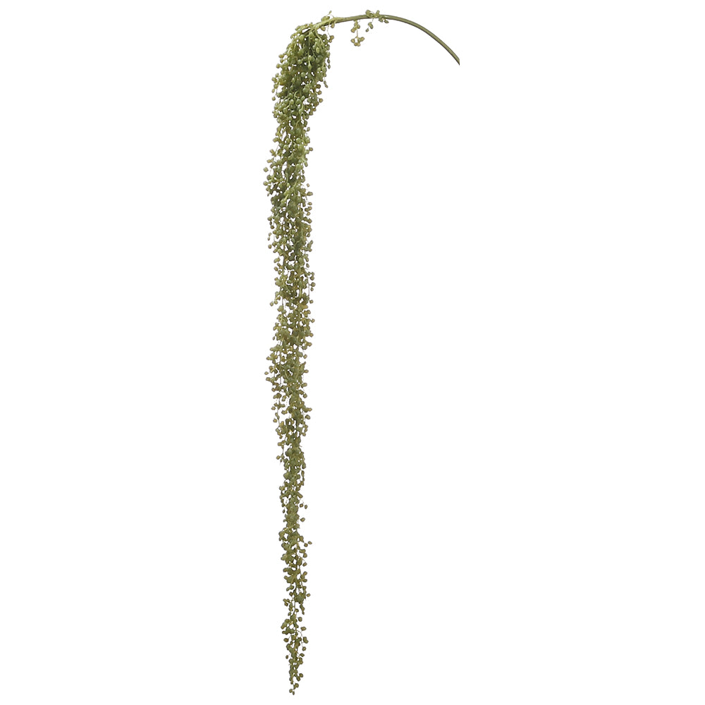 Succulent Hanging Stem