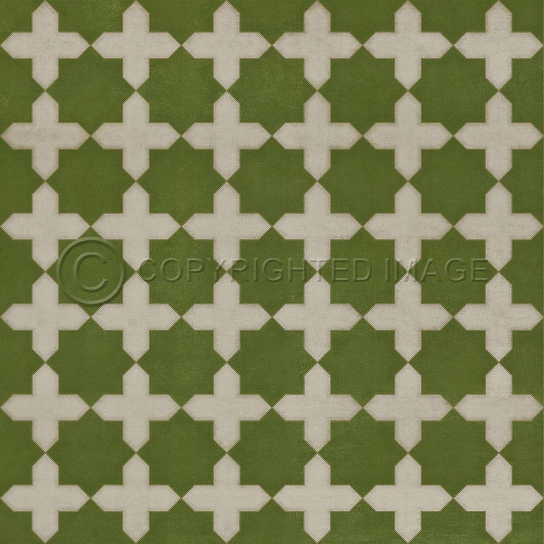 Pattern 23 Nor Any Green Thing     60x60