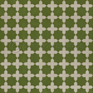 Pattern 23 Nor Any Green Thing     120x120