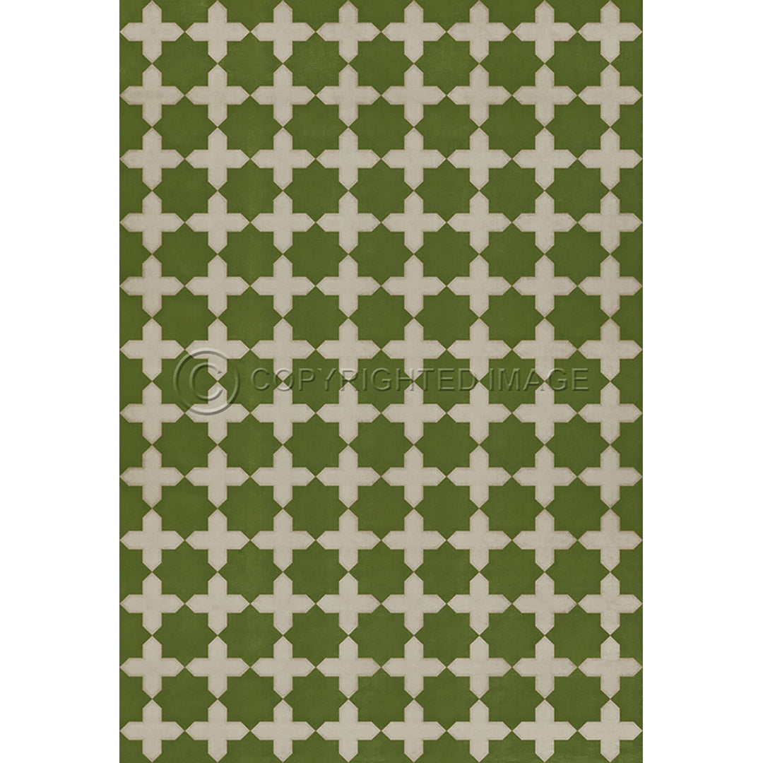 Pattern 23 Nor Any Green Thing     120x120