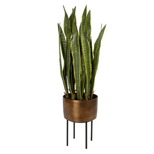 Fasita Brass Planter 2 Cartons