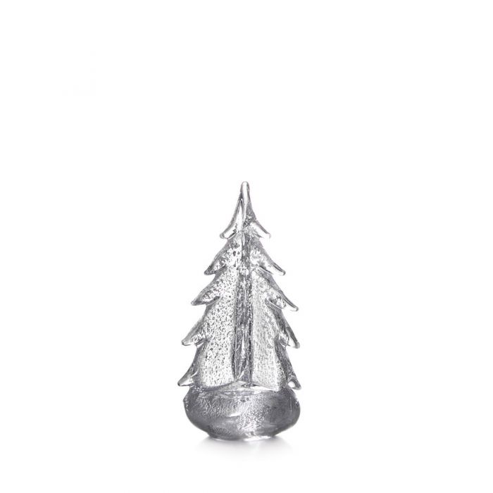 Silver Leaf Evergreen - 10&quot;