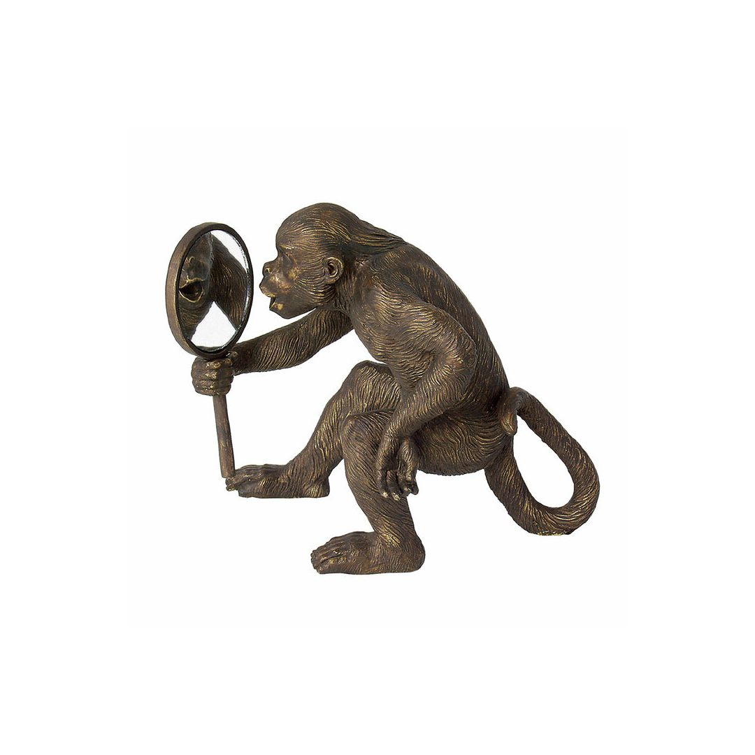 Monkey Looking in a Mirror