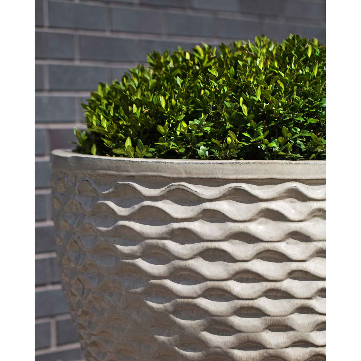 Honeycomb Planter Set of 4