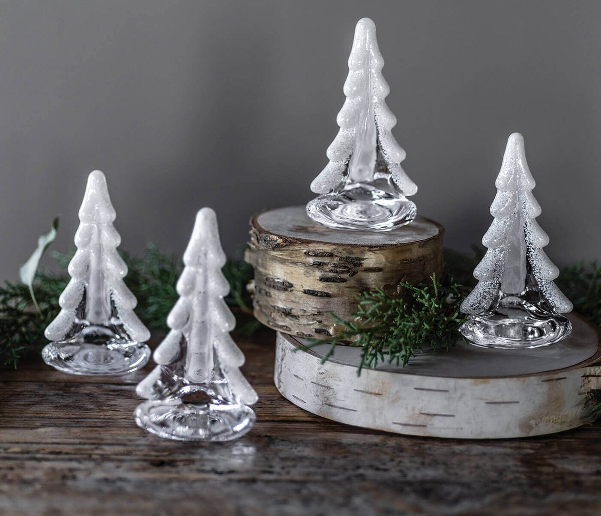Snowy Branches Evergreen in Gift Box -  8&quot;