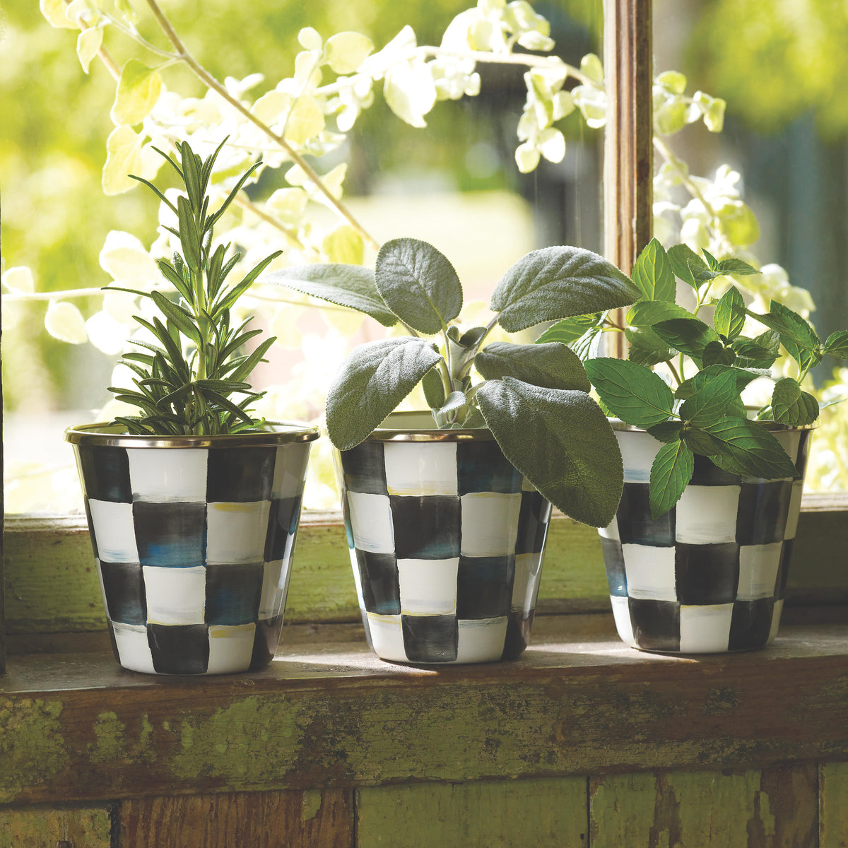 Courtly Check Enamel Herb Pots - Set of 3