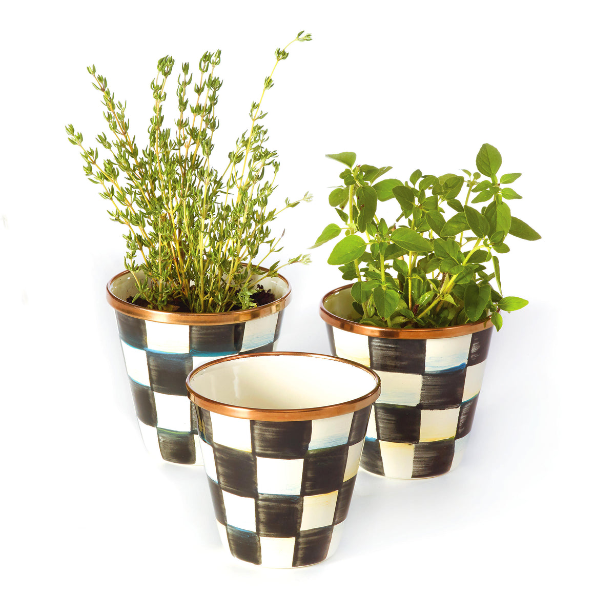 Courtly Check Enamel Herb Pots - Set of 3