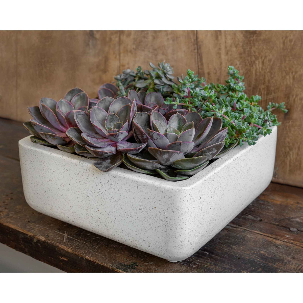 Geo Square Footed Planter Set of 4