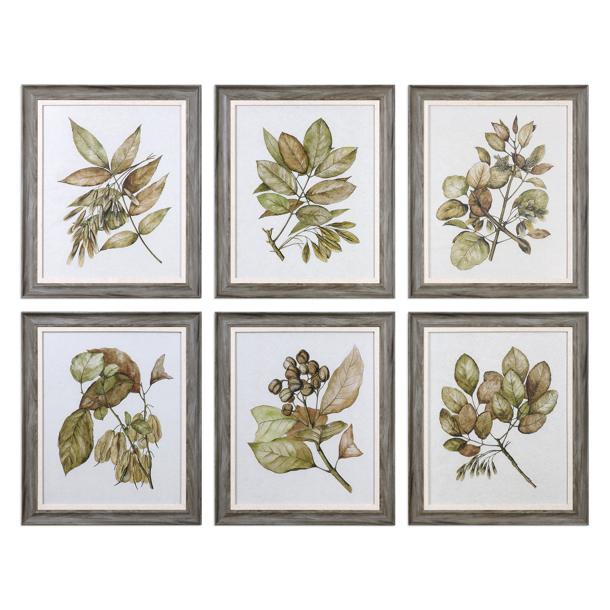 Seedlings Framed Prints, S/6