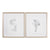 Botanical Sketches Framed Prints, S/2