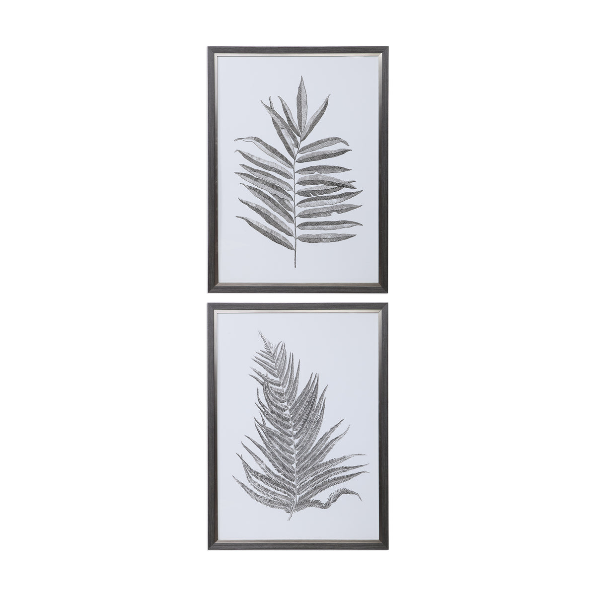 Silver Ferns Framed Prints, S/2