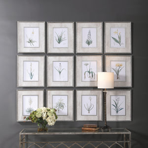 Spring Florals Framed Prints, S/12