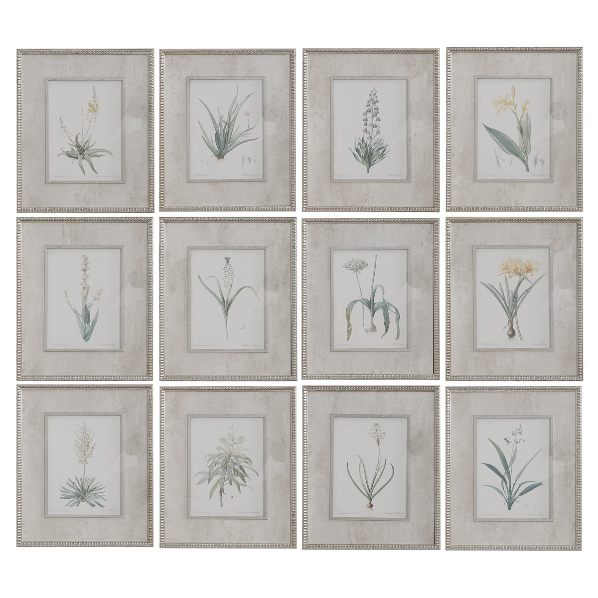 Spring Florals Framed Prints, S/12