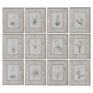 Spring Florals Framed Prints, S/12