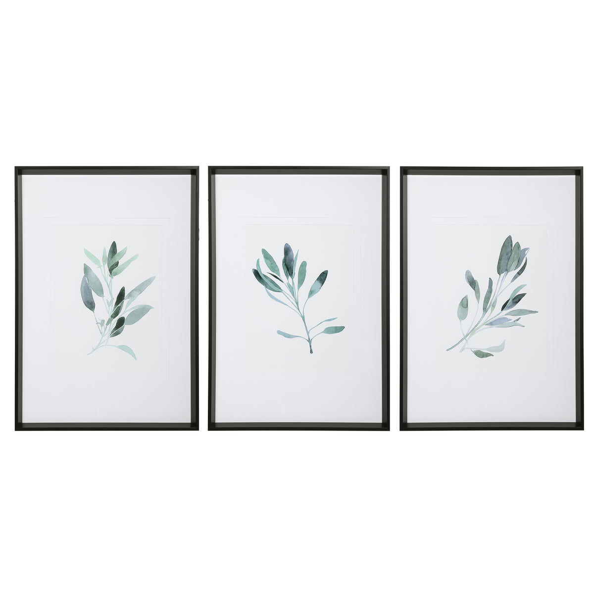 Simple Sage Framed Prints, S/3