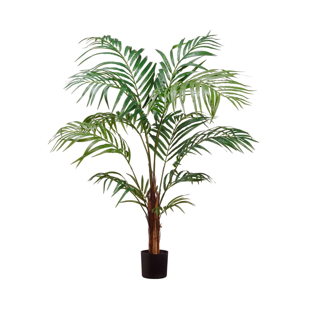 48&quot; Areca Palm Tree